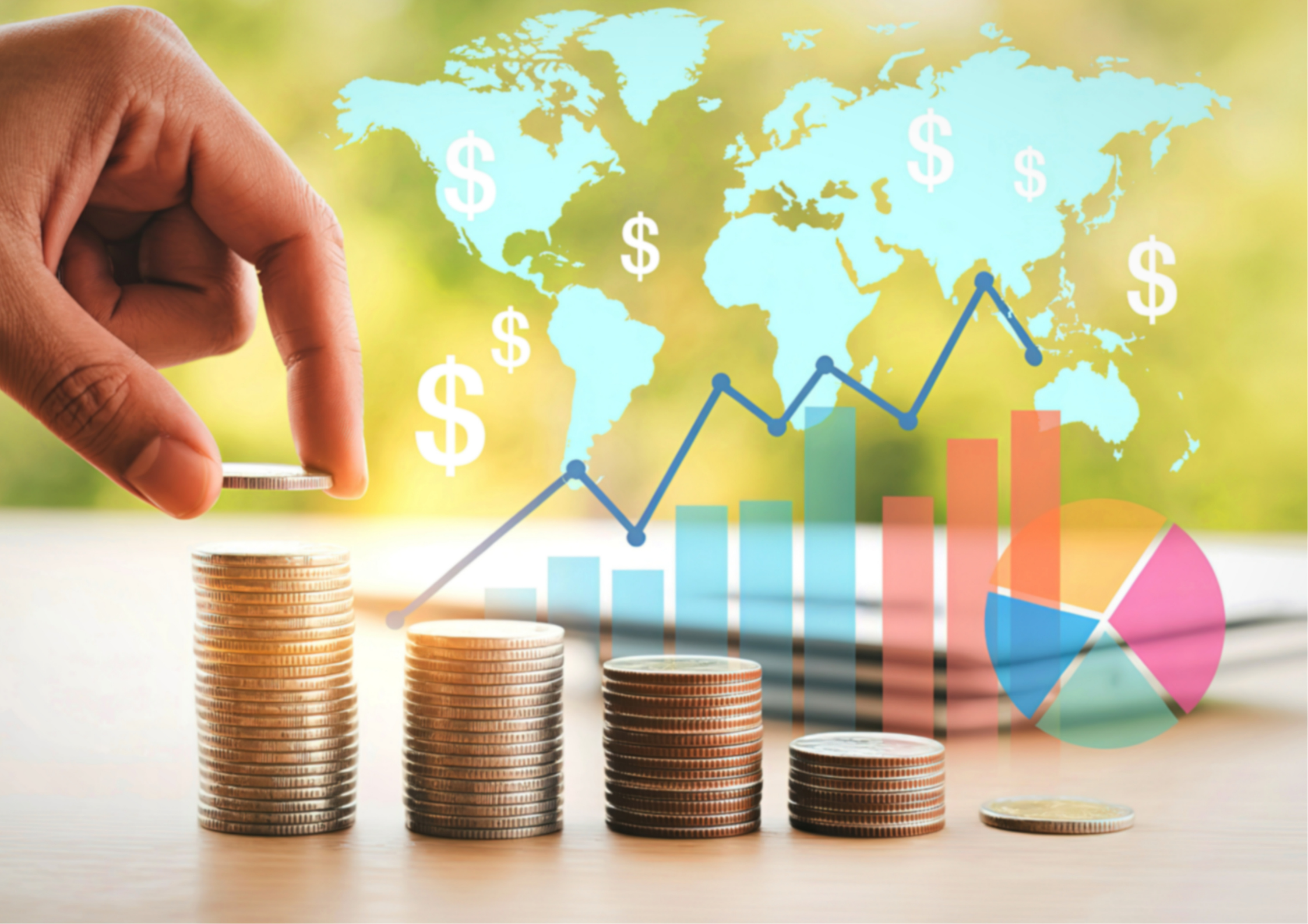 Transfer Pricing Management