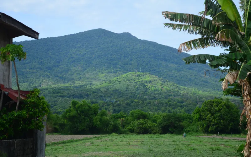 Client Stories Issue 3